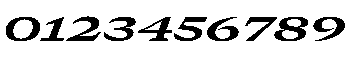 GTCanon MExpandedBoldItalic Font OTHER CHARS