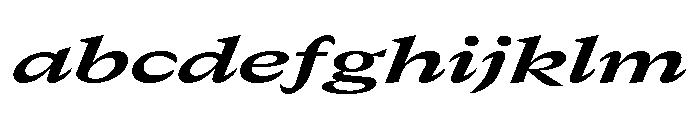 GTCanon MExpandedBoldItalic FONT