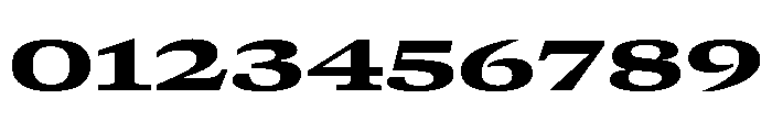 GTCanon MExpandedHeavy Font OTHER CHARS