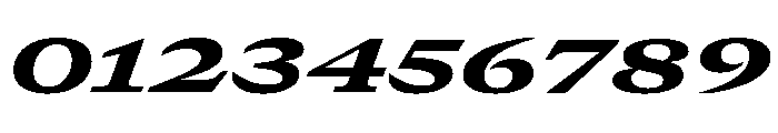 GTCanon MExpandedHeavyItalic 2 Font OTHER CHARS