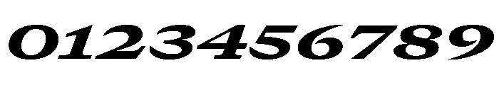 GTCanon MExpandedHeavyItalic Font OTHER CHARS