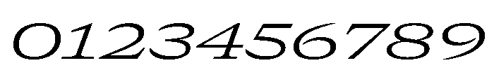 GTCanon MExpandedLightItalic Font OTHER CHARS