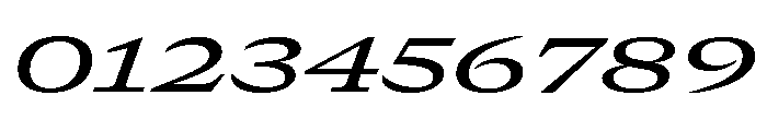GTCanon MExpandedMediumItalic 2 Font OTHER CHARS