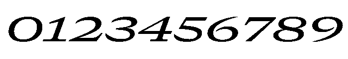 GTCanon MExpandedMediumItalic Font OTHER CHARS
