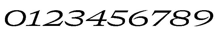 GTCanon MExpandedRegularItalic 2 Font OTHER CHARS
