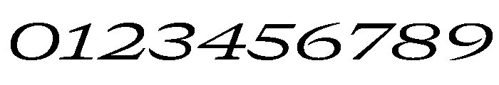 GTCanon MExpandedRegularItalic Font OTHER CHARS