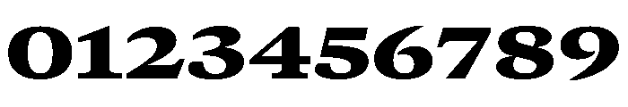 GTCanon MExtendedBlack Font OTHER CHARS