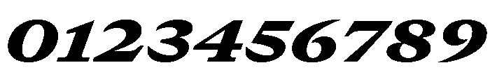 GTCanon MExtendedBlackItalic 2 Font OTHER CHARS
