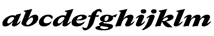 GTCanon MExtendedBlackItalic 2 FONT