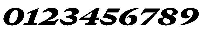 GTCanon MExtendedBlackItalic Font OTHER CHARS