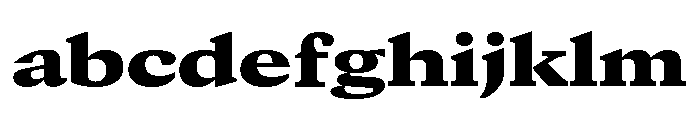GTCanon MExtendedBlack FONT