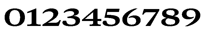 GTCanon MExtendedBold 2 Font OTHER CHARS