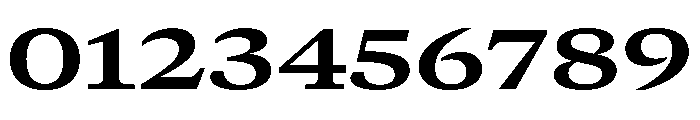 GTCanon MExtendedBold Font OTHER CHARS