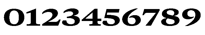 GTCanon MExtendedHeavy Font OTHER CHARS