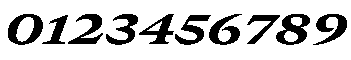 GTCanon MExtendedHeavyItalic Font OTHER CHARS