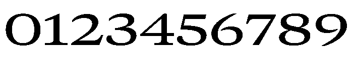 GTCanon MExtendedMedium Font OTHER CHARS