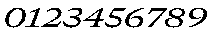GTCanon MExtendedMediumItalic Font OTHER CHARS