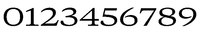 GTCanon MExtendedRegular Font OTHER CHARS