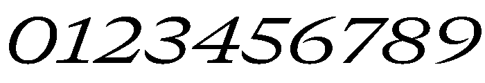 GTCanon MExtendedRegularItalic Font OTHER CHARS