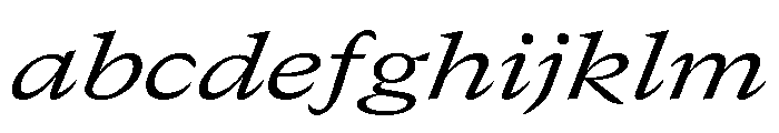 GTCanon MExtendedRegularItalic FONT