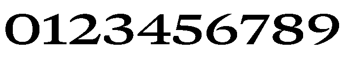 GTCanon MExtendedSemibold 2 Font OTHER CHARS