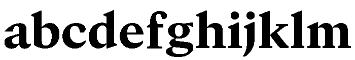 GTCanon MHeavy 2 FONT