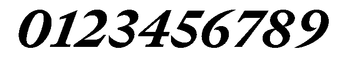 GTCanon MHeavyItalic 2 Font OTHER CHARS