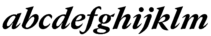 GTCanon MHeavyItalic 2 FONT
