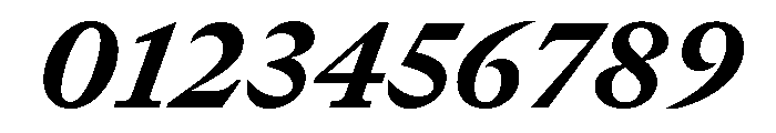 GTCanon MHeavyItalic Font OTHER CHARS