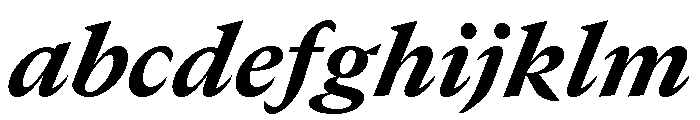 GTCanon MHeavyItalic FONT