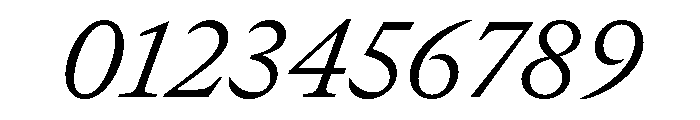 GTCanon MLightItalic Font OTHER CHARS