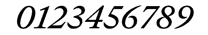 GTCanon MMediumItalic 2 Font OTHER CHARS