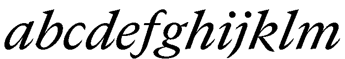 GTCanon MMediumItalic FONT
