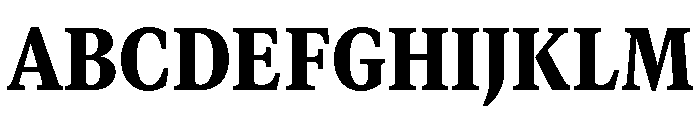 GTCanon MNarrowBlack Font UPPERCASE