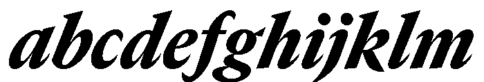 GTCanon MNarrowBlackItalic 2 FONT