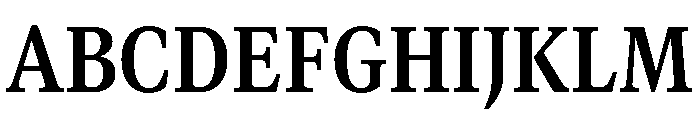 GTCanon MNarrowBold 2 Font UPPERCASE