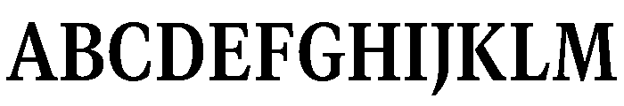 GTCanon MNarrowBold Font UPPERCASE