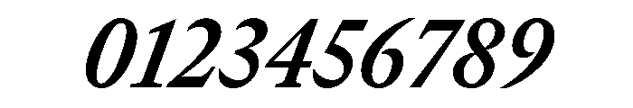 GTCanon MNarrowBoldItalic Font OTHER CHARS