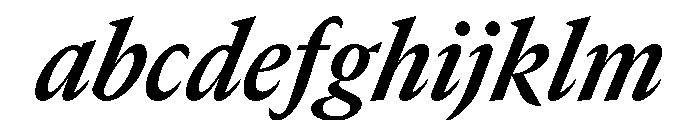 GTCanon MNarrowBoldItalic FONT