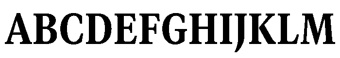 GTCanon MNarrowHeavy 2 Font UPPERCASE