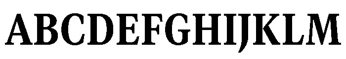 GTCanon MNarrowHeavy Font UPPERCASE