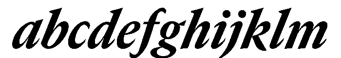 GTCanon MNarrowHeavyItalic FONT