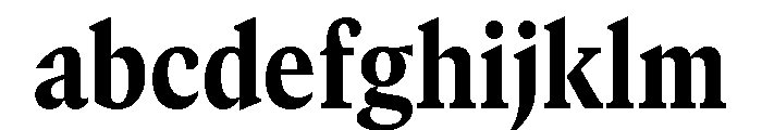 GTCanon MNarrowHeavy FONT