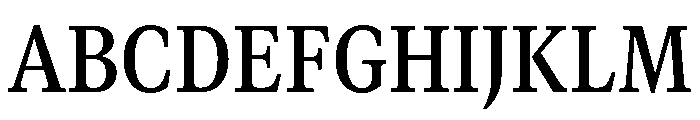GTCanon MNarrowSemibold 2 Font UPPERCASE
