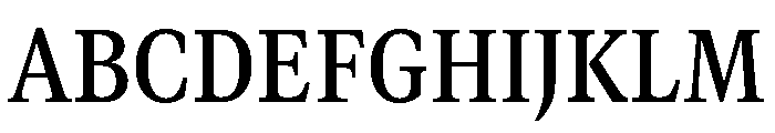 GTCanon MNarrowSemibold Font UPPERCASE