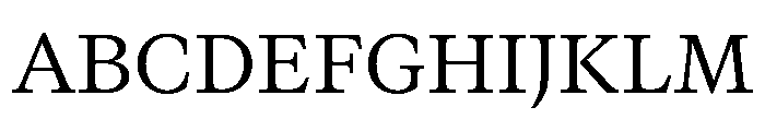 GTCanon MRegular 2 Font UPPERCASE