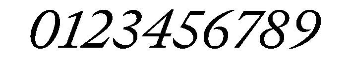 GTCanon MRegularItalic 2 Font OTHER CHARS