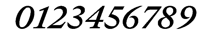 GTCanon MSemiboldItalic Font OTHER CHARS