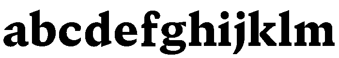 GTCanon SBlack 2 FONT