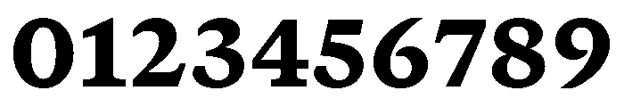 GTCanon SBlack Font OTHER CHARS